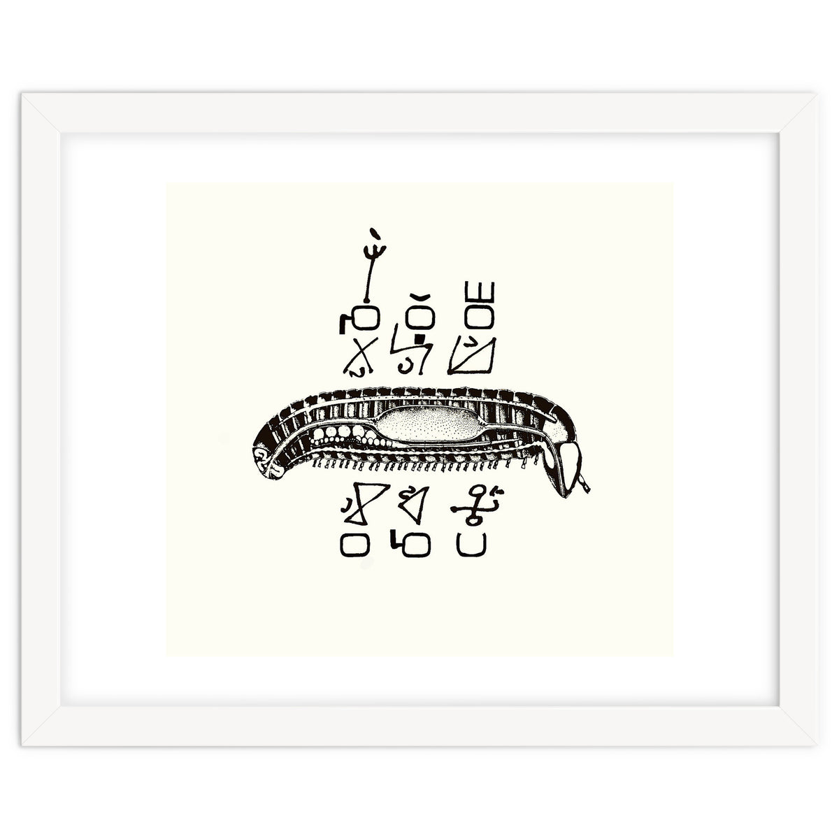 Diplopod David Felix