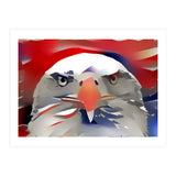 Bald Eagle (Print Only) thumbnail