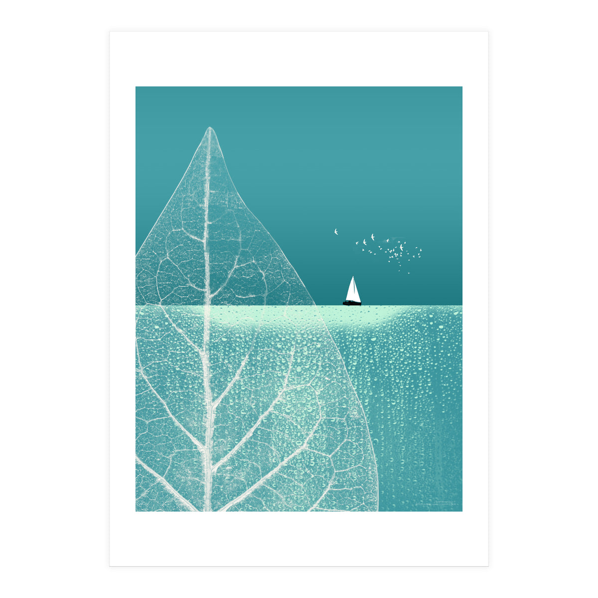 Ocean Wonderland II (Print Only)