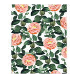 Josephine | Vintage Rose Garden Illustration | Bohemian Botanical Floral House Plants (Print Only) thumbnail