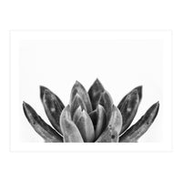 Cactus flower (Print Only)