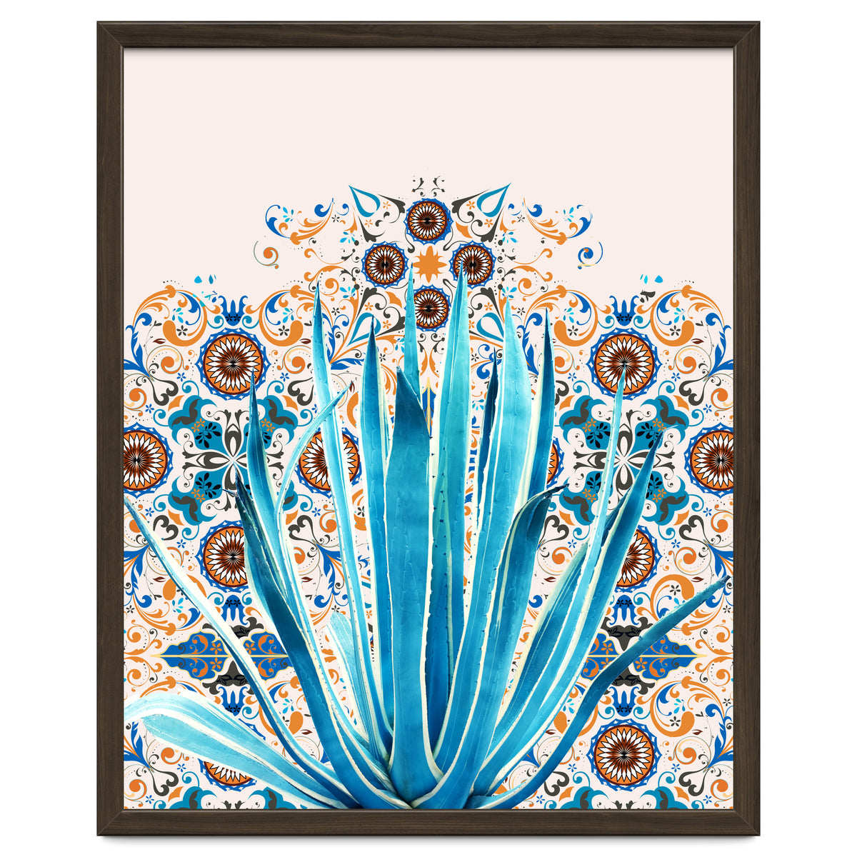 Cactus and Moroccan tiles