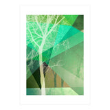 P22 B Trees And Triangles (Print Only) thumbnail