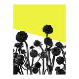 Flowers yellow (Print Only) thumbnail