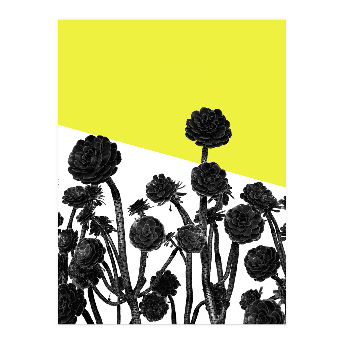 Flowers yellow (Print Only)