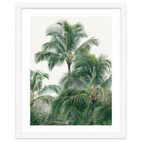 Lush Palm Trees