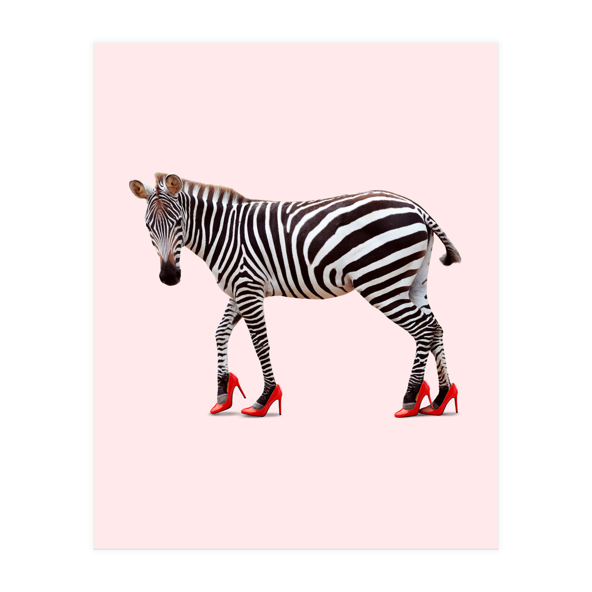 Zebra Heels (Print Only)