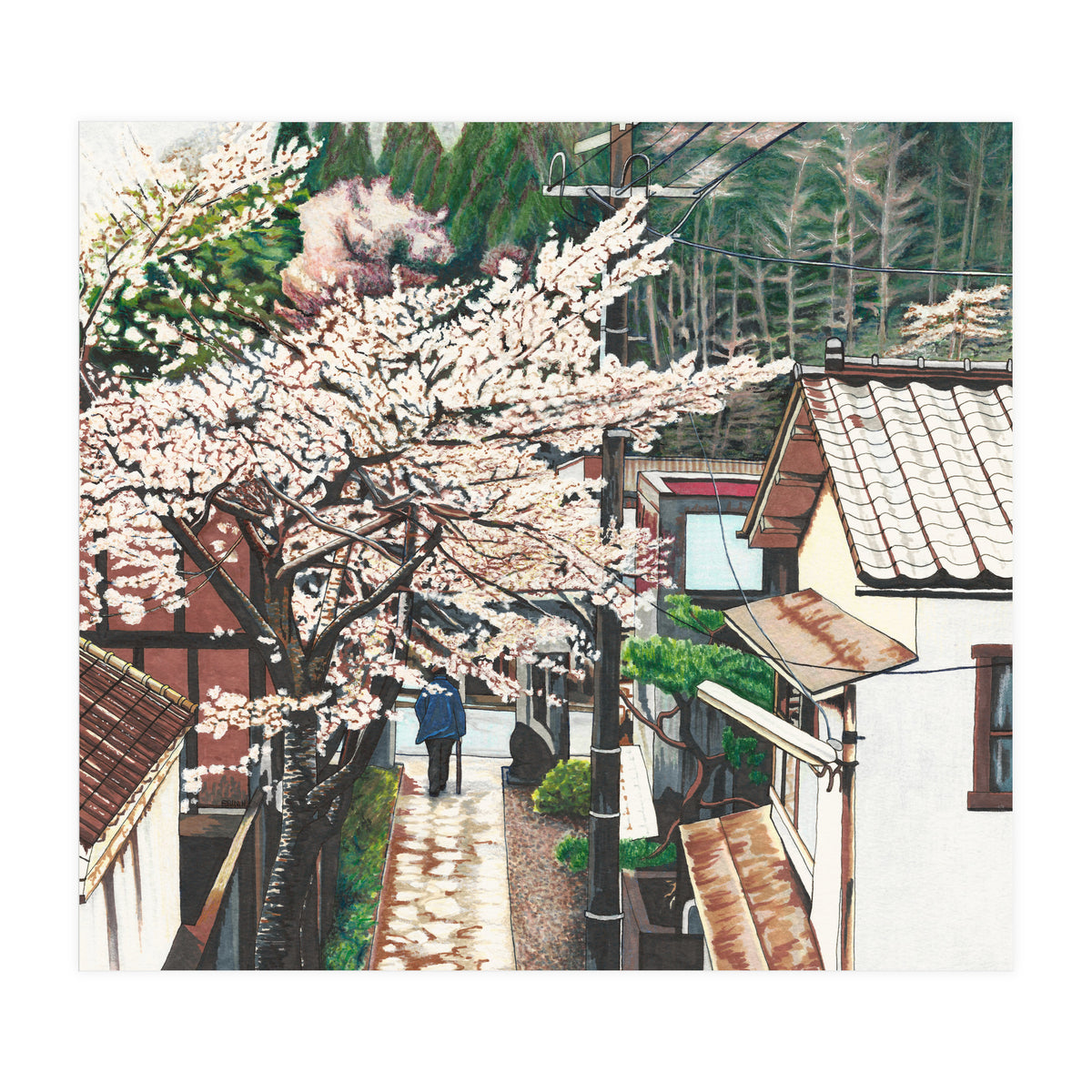 Passing by Cherry Blossoms (Print Only)