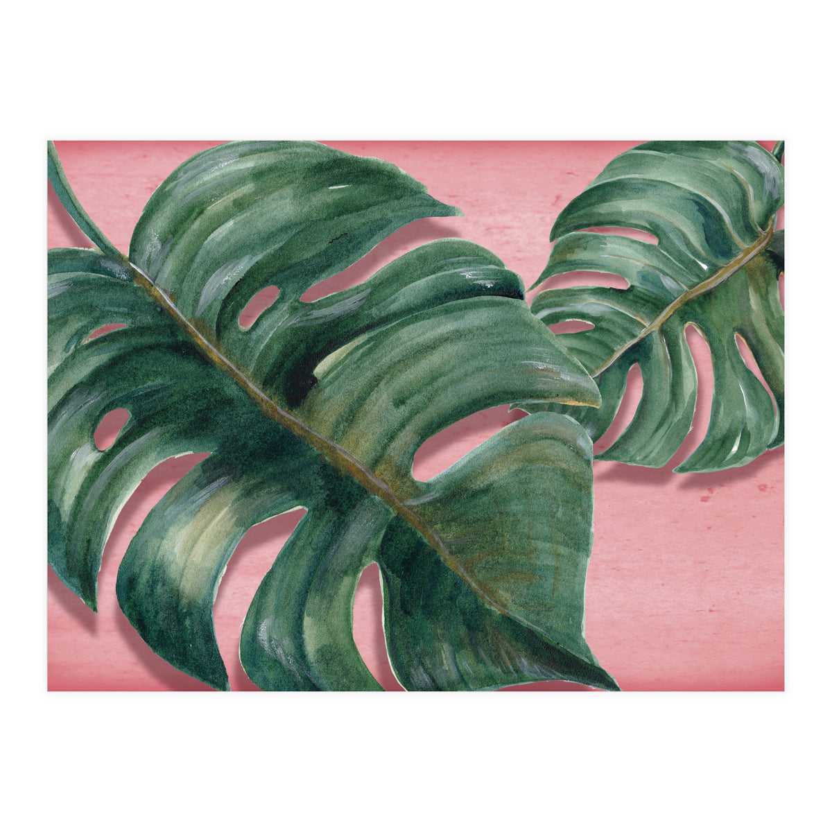 Monstera Leaf (Print Only)