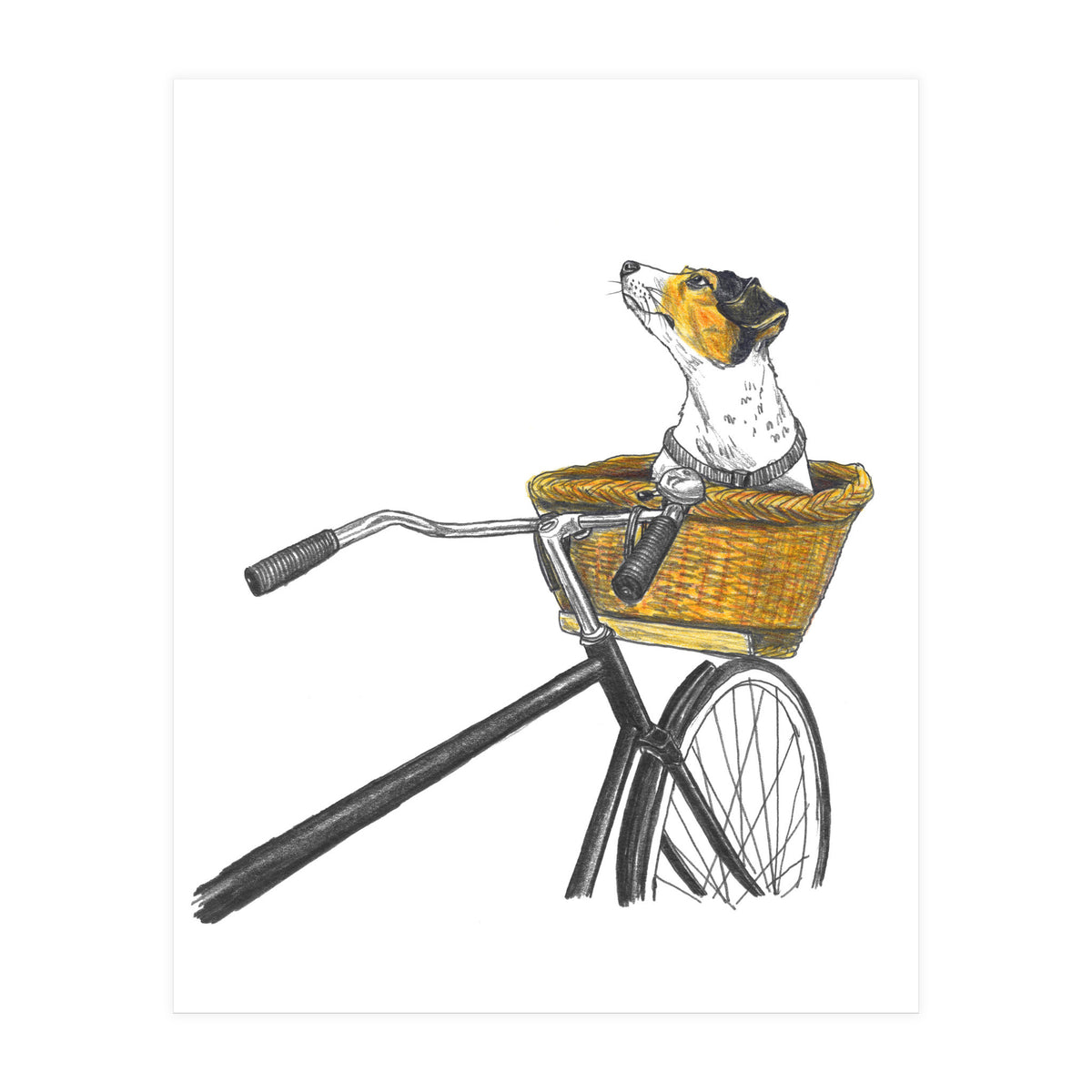 Dog In Basket (Print Only)