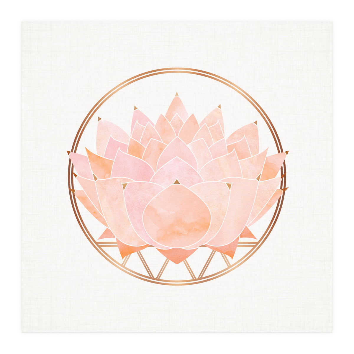 Peach Succulent  Blossom (Print Only)