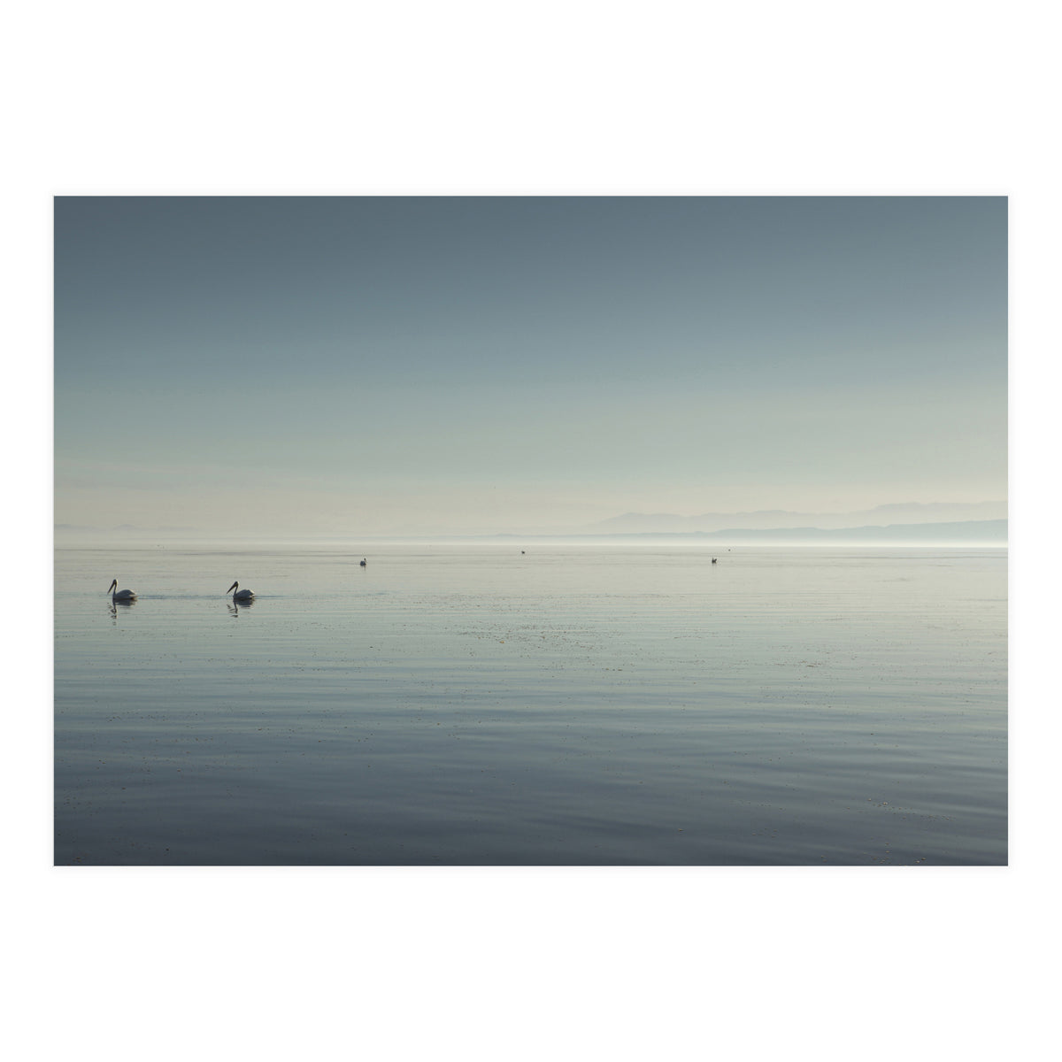 The Salton Sea (Print Only)