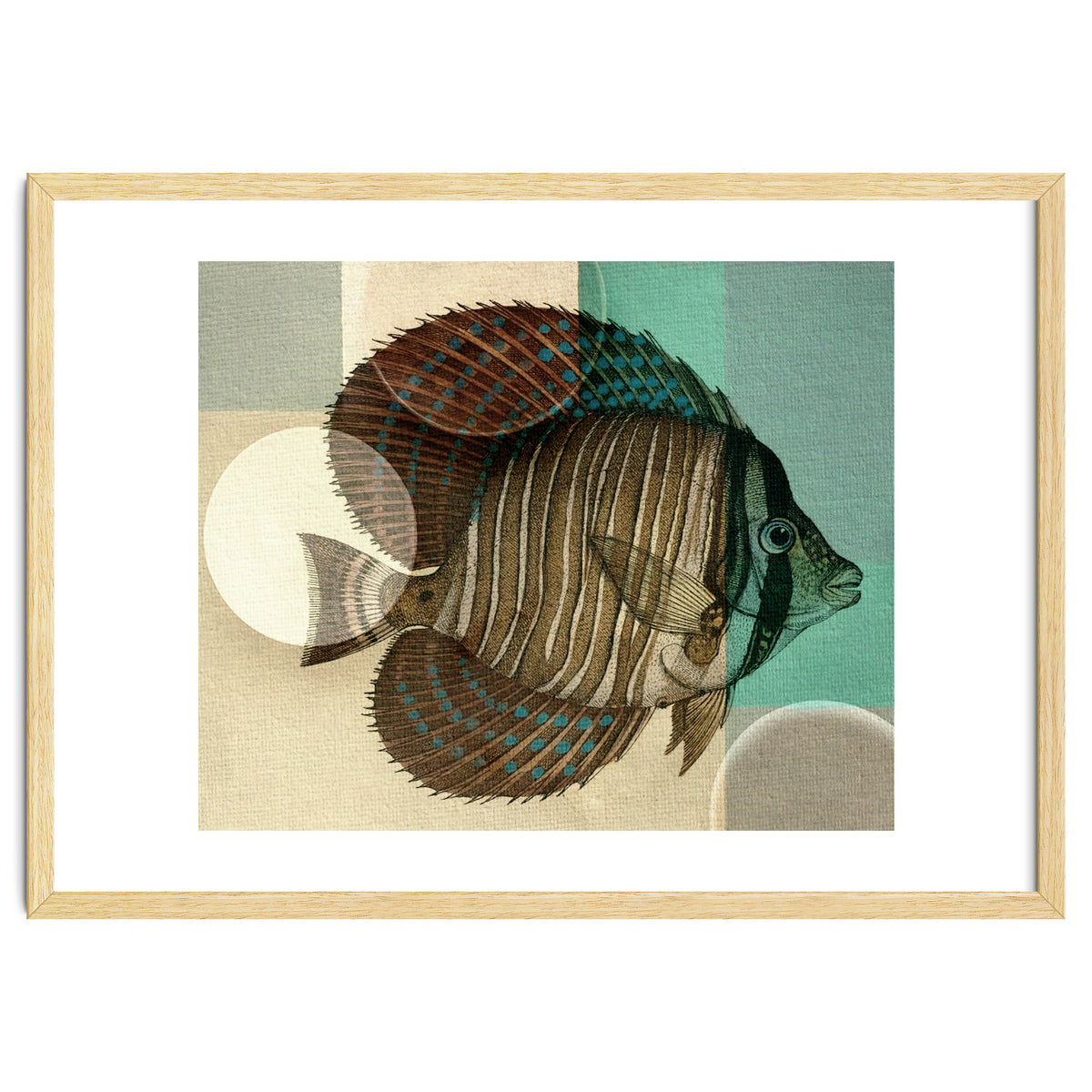 Fish Between Circles 4