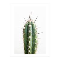 Cacti (Print Only)