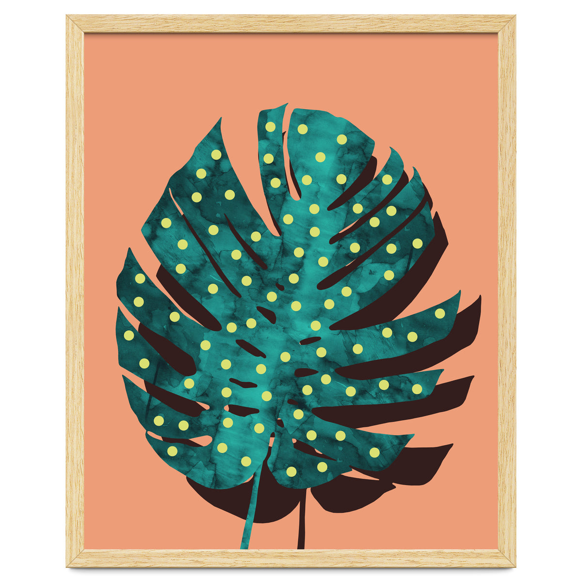 Monstera Deliciosa IV