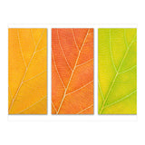 Autumn Leaves (Print Only) thumbnail