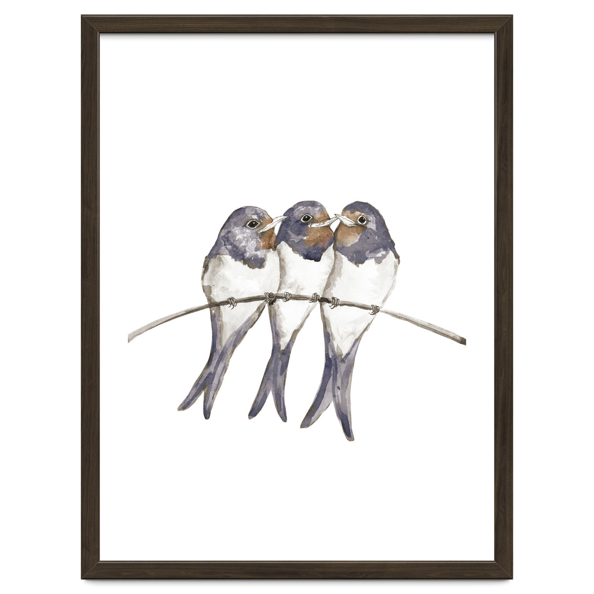 Three young swallows