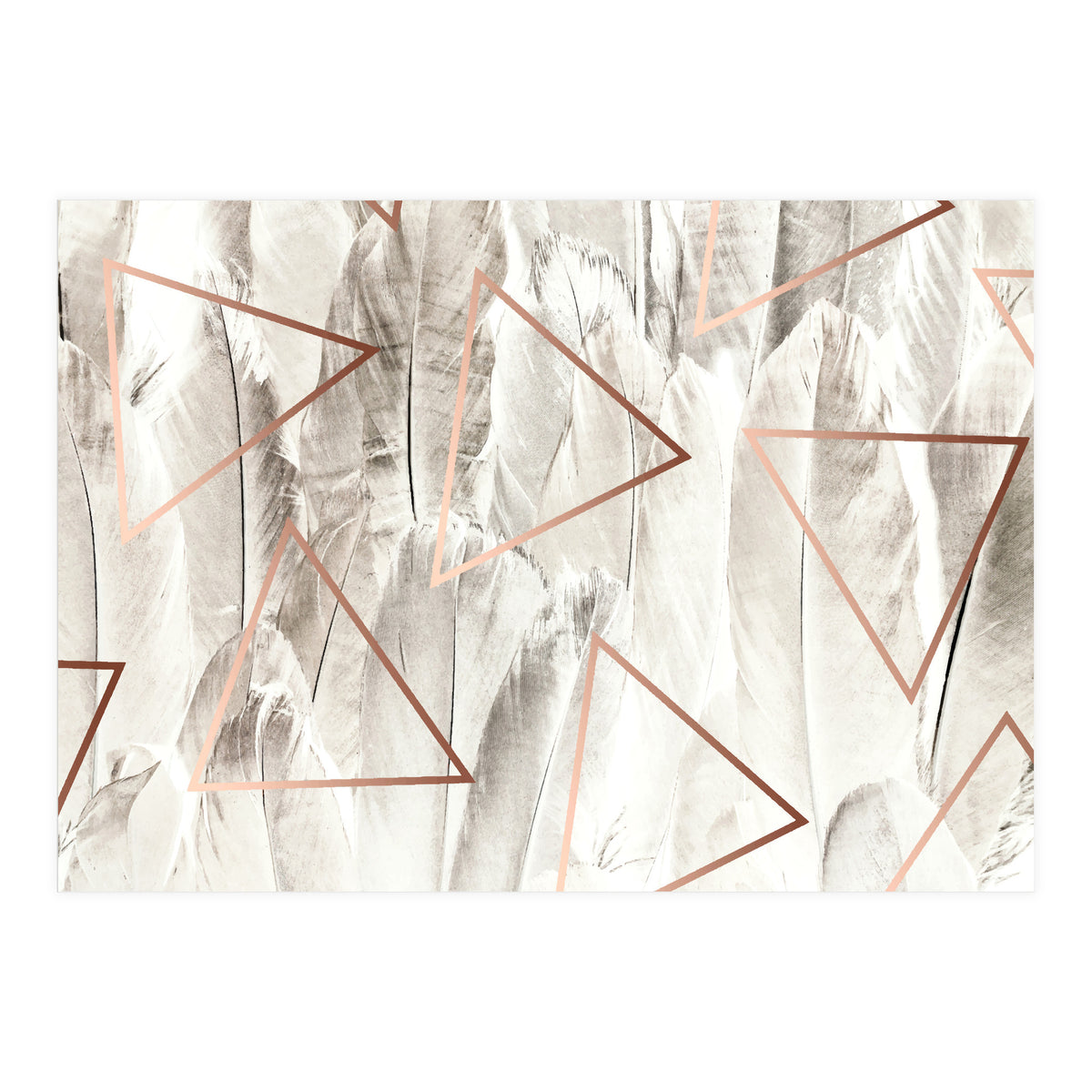 Feathers & Copper (Print Only)