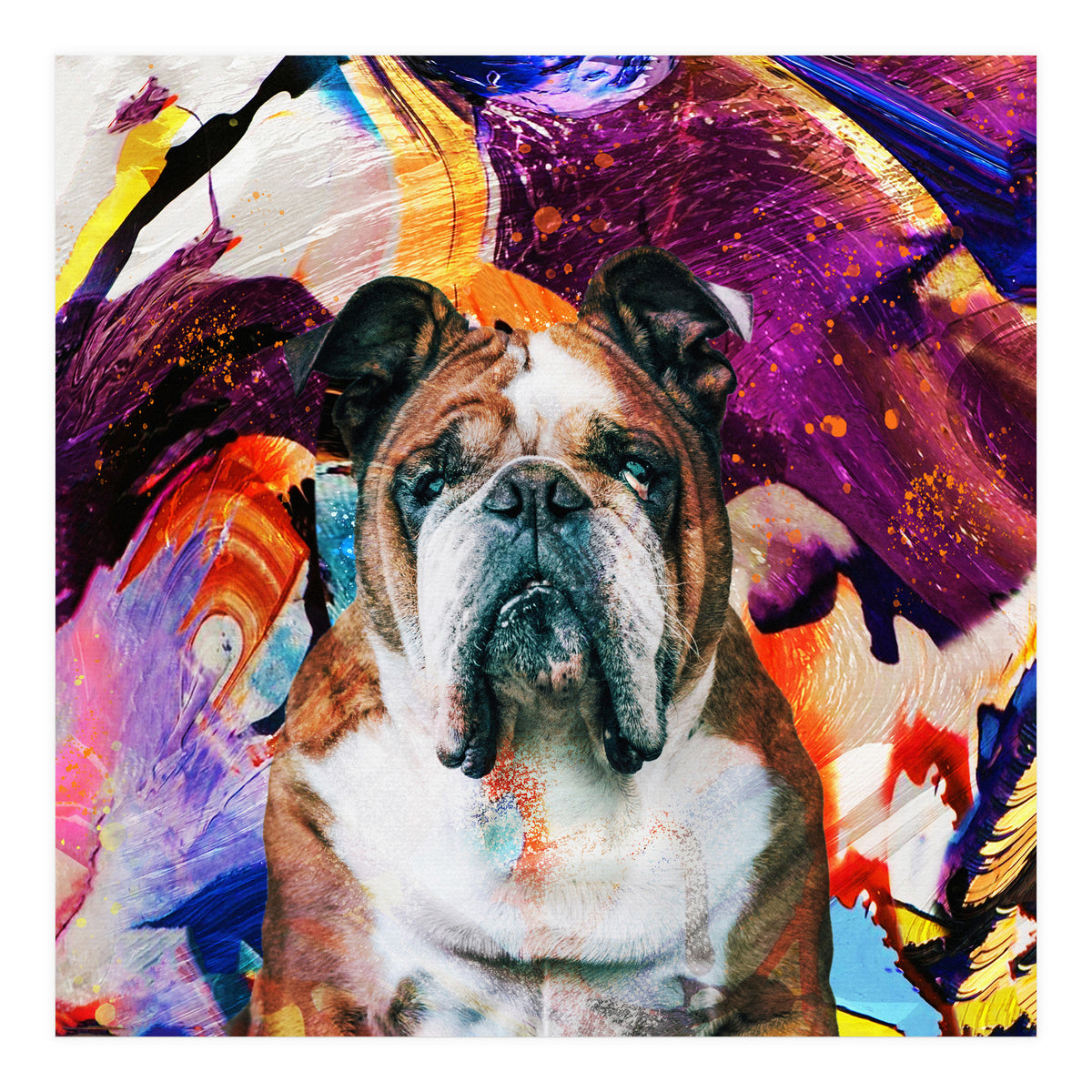 Zycko Color Dog 3 (Print Only)