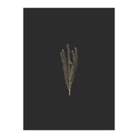 Delicate Fynbos Botanicals in Gold and Black (Print Only)