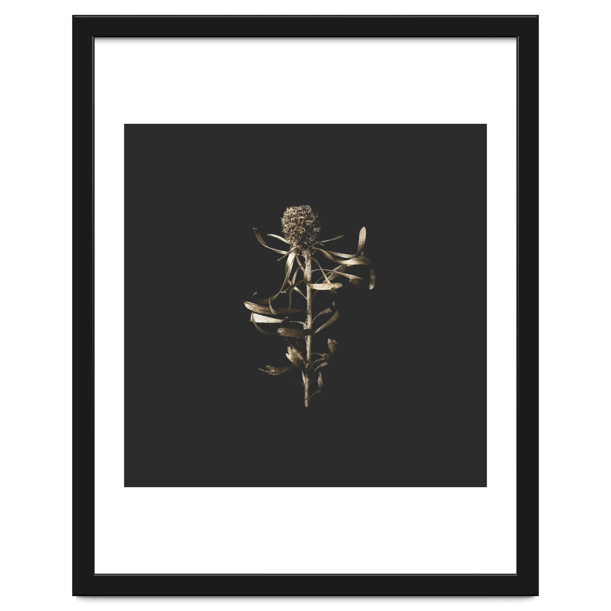 Golden Botanicals -  Square