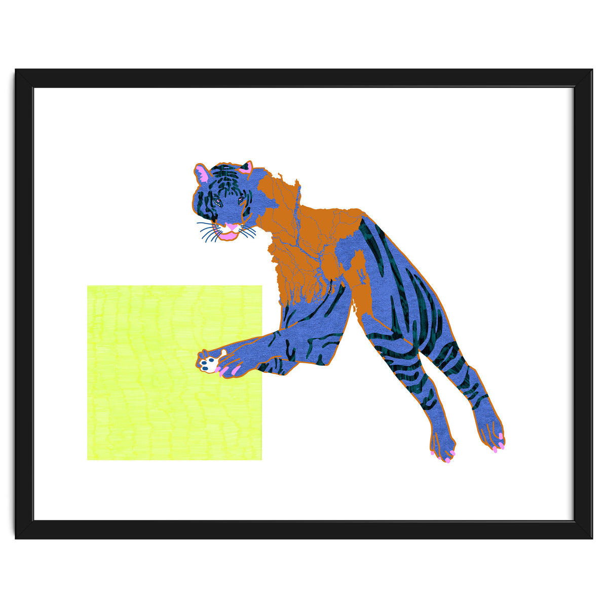 Bangladeshi Bengal Tiger