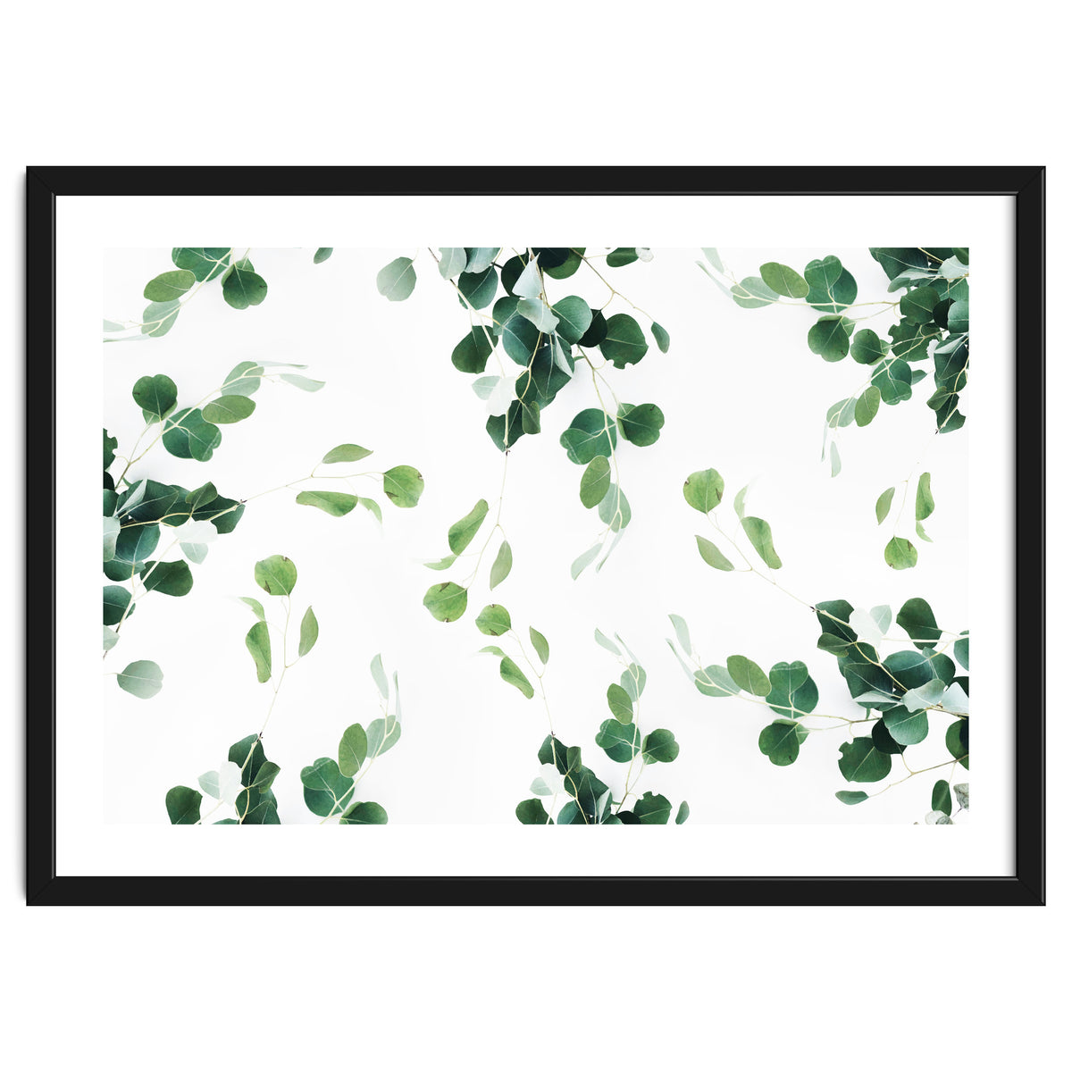 Botanical Celebration