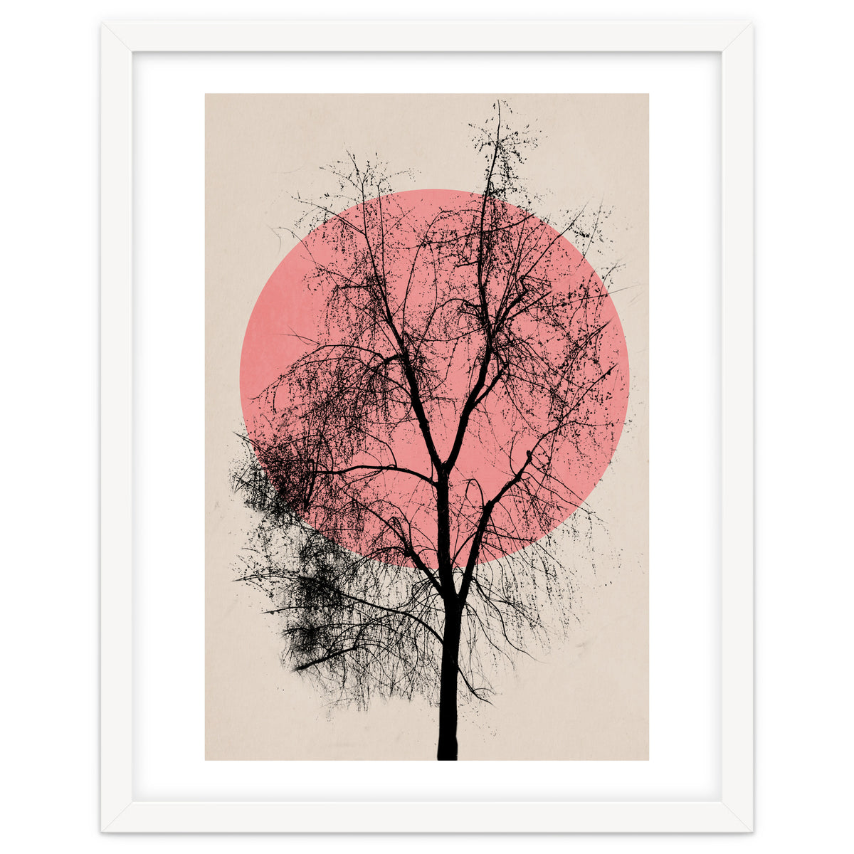 Memories And Moments