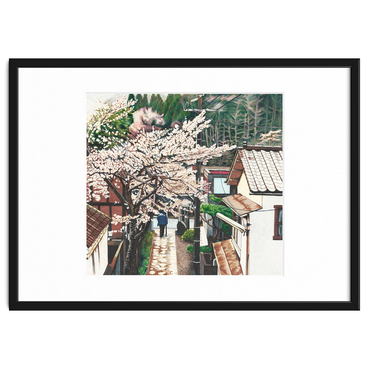 Passing by Cherry Blossoms