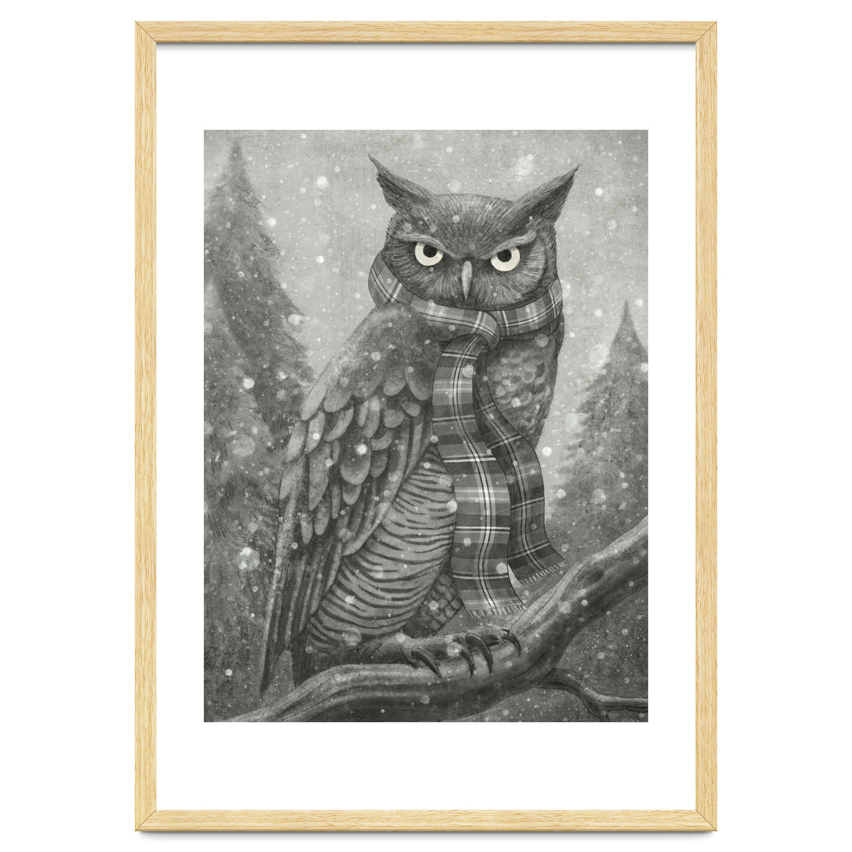 Winter Owl