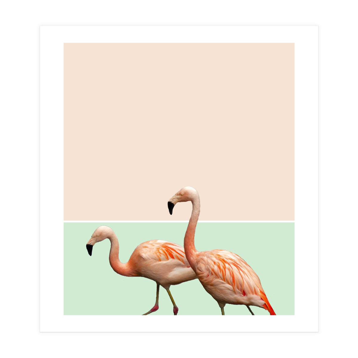 Flamingo Pastel Art (Print Only)