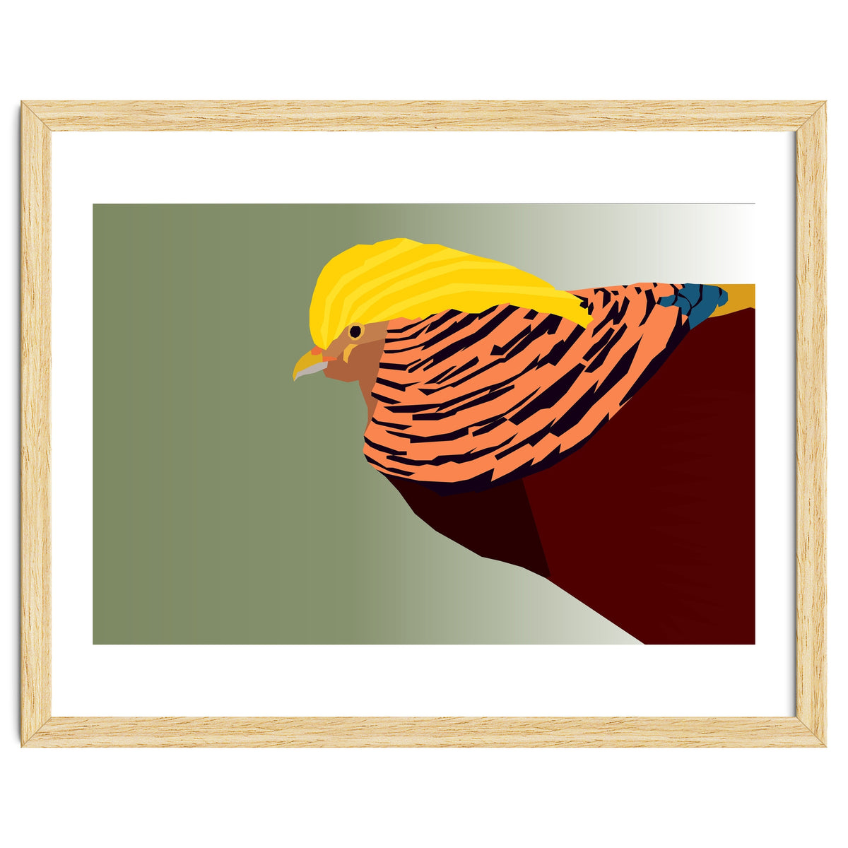 Golden Pheasant Bird Art