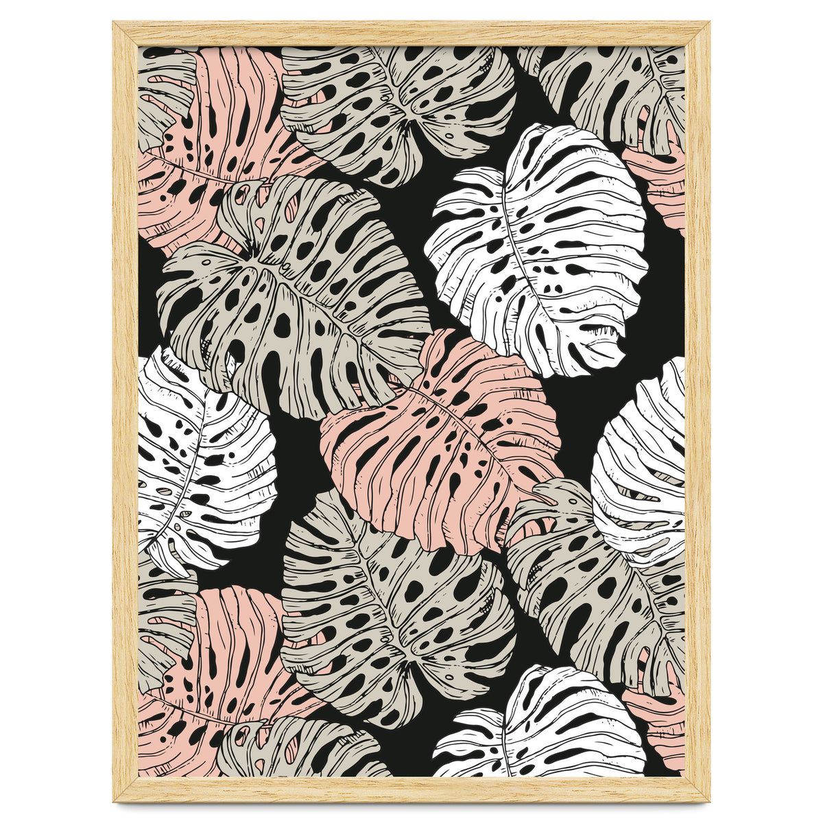 Monstera in the darkness of the jungle