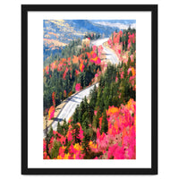 Valley of Pink Trees | Fantasy Pop of Color Forest Nature | Jungle Adventure Road Trip Pine