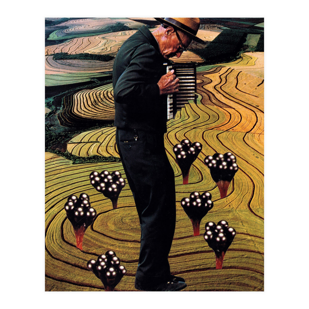 Accordion (Print Only)