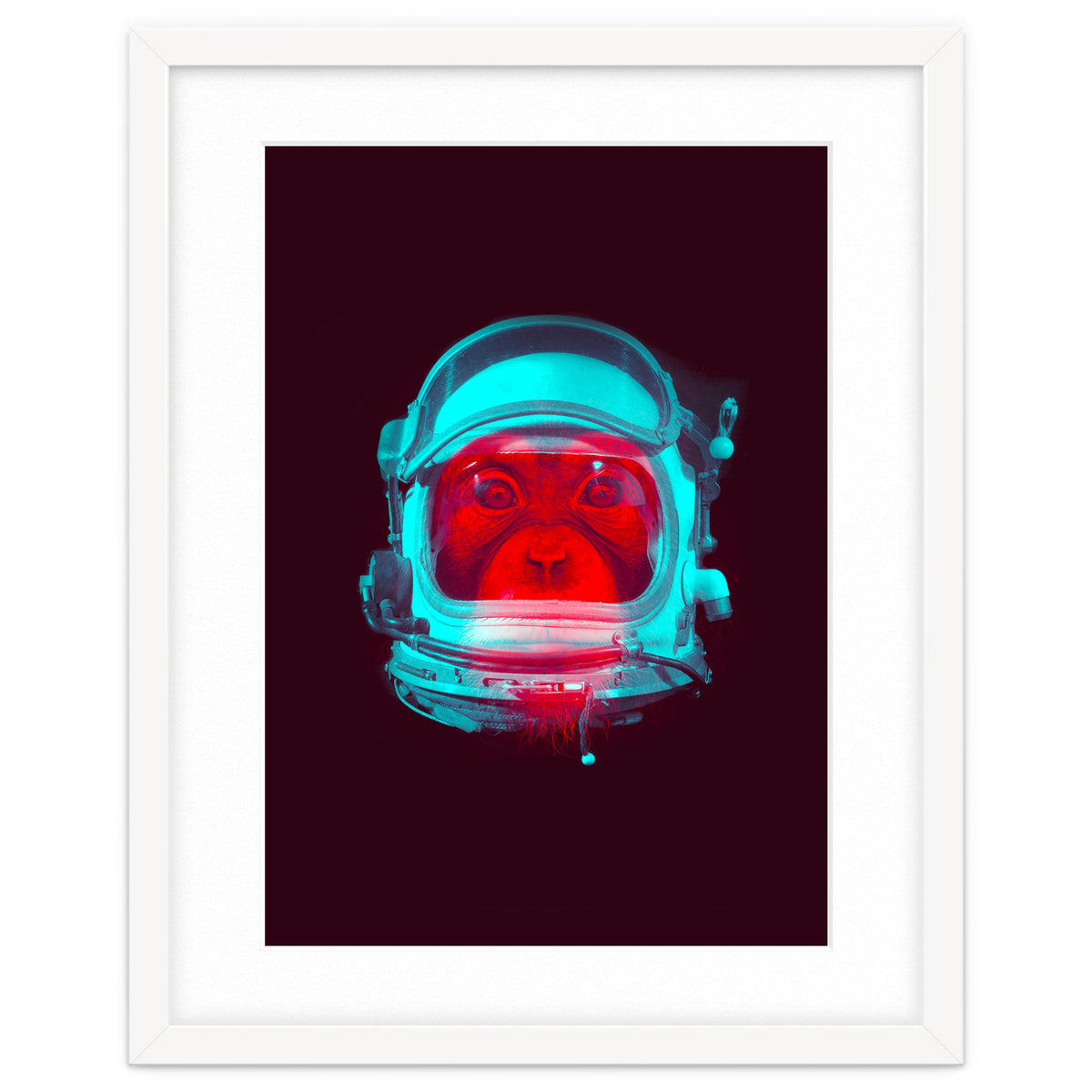 Astronaut