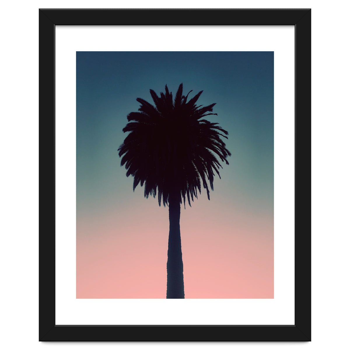Sundown Palm