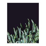Dark Nature (Print Only) thumbnail