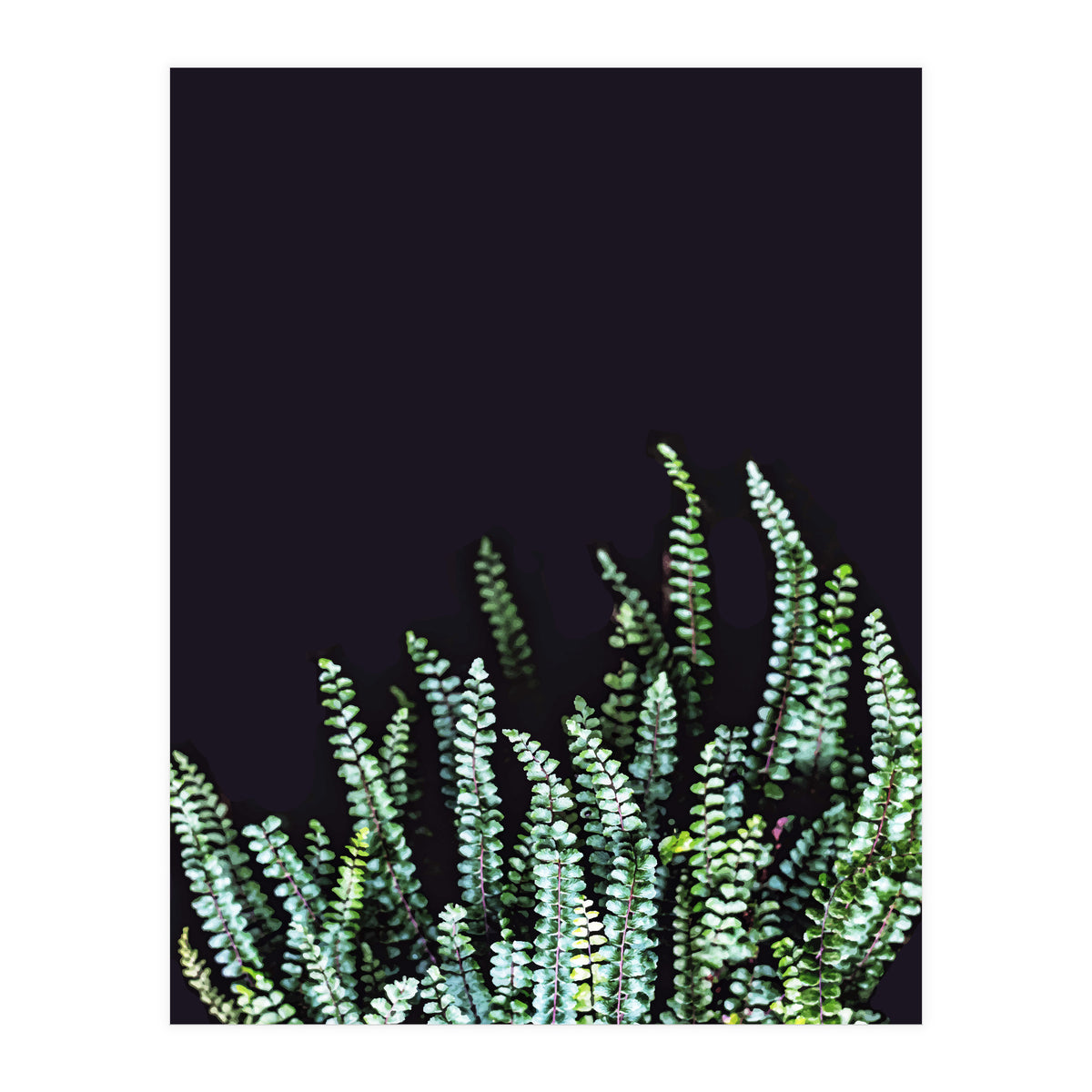 Dark Nature (Print Only)