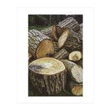 Bucolism 4 (Print Only) thumbnail
