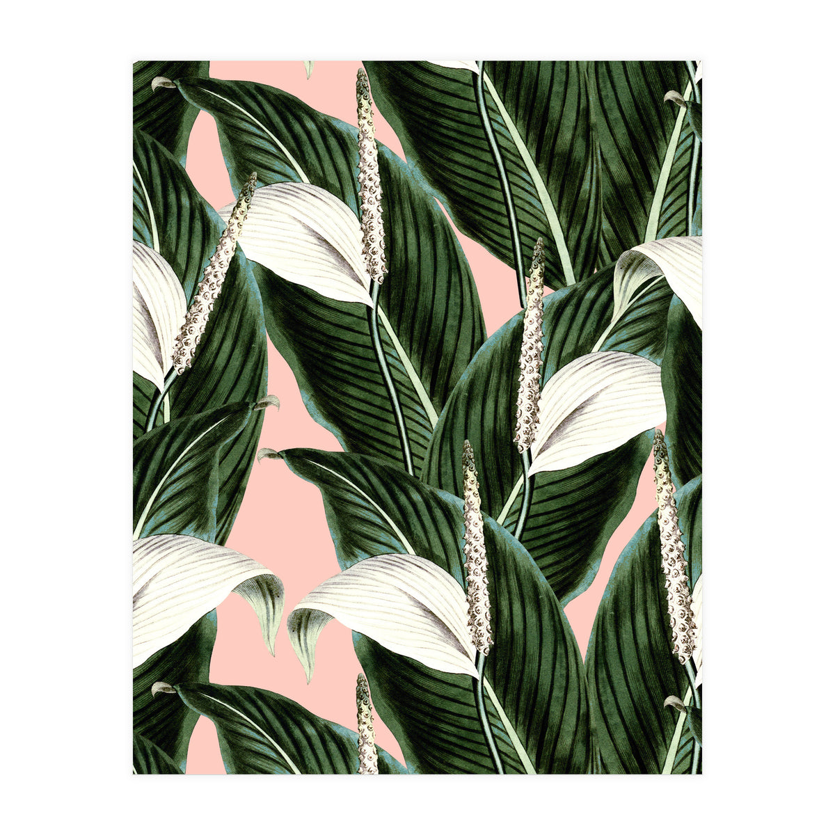 Sweet floral Pothos (Print Only)