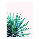 Agave Love (Print Only) thumbnail