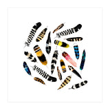 Feather Fusion  (Print Only) thumbnail