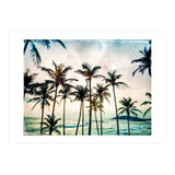 No Palm Trees (Print Only) thumbnail