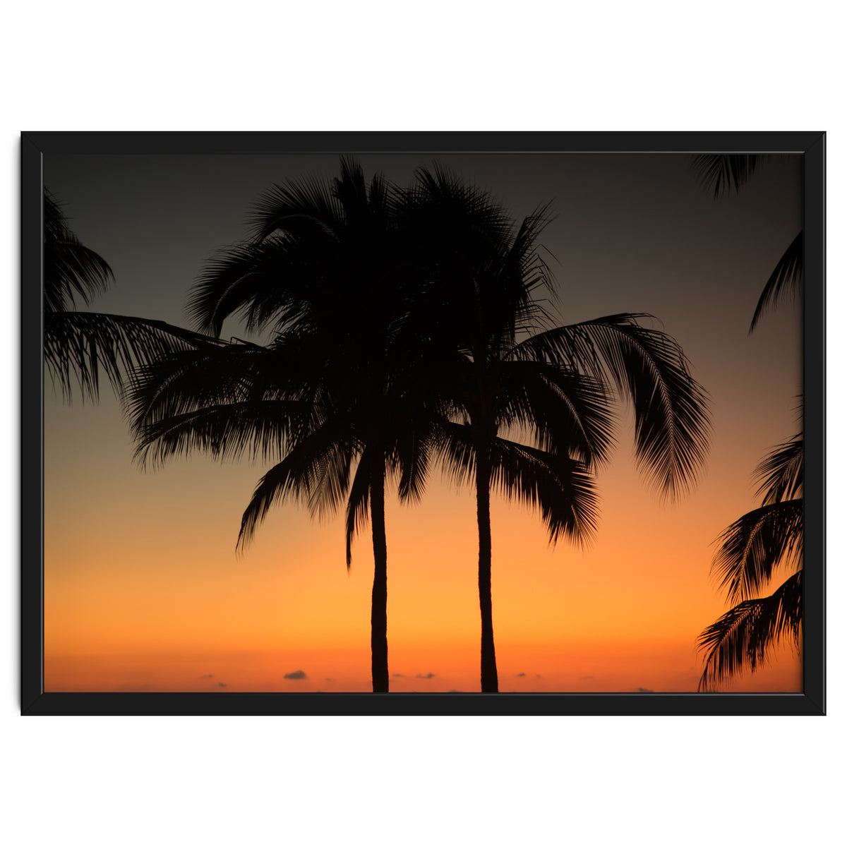 Mexico, November nights