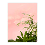 Minimal Botanical (Print Only) thumbnail
