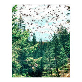 Save The Planet (Print Only) thumbnail