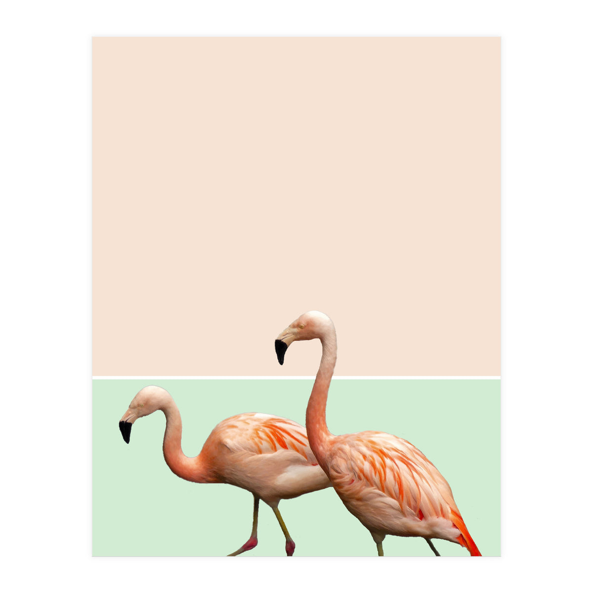 Flamingo Pastel Art (Print Only)