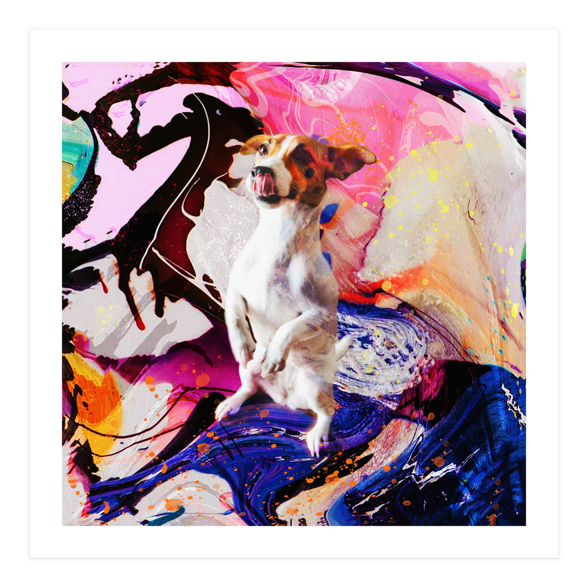 Zycko Color Dog 4 (Print Only)