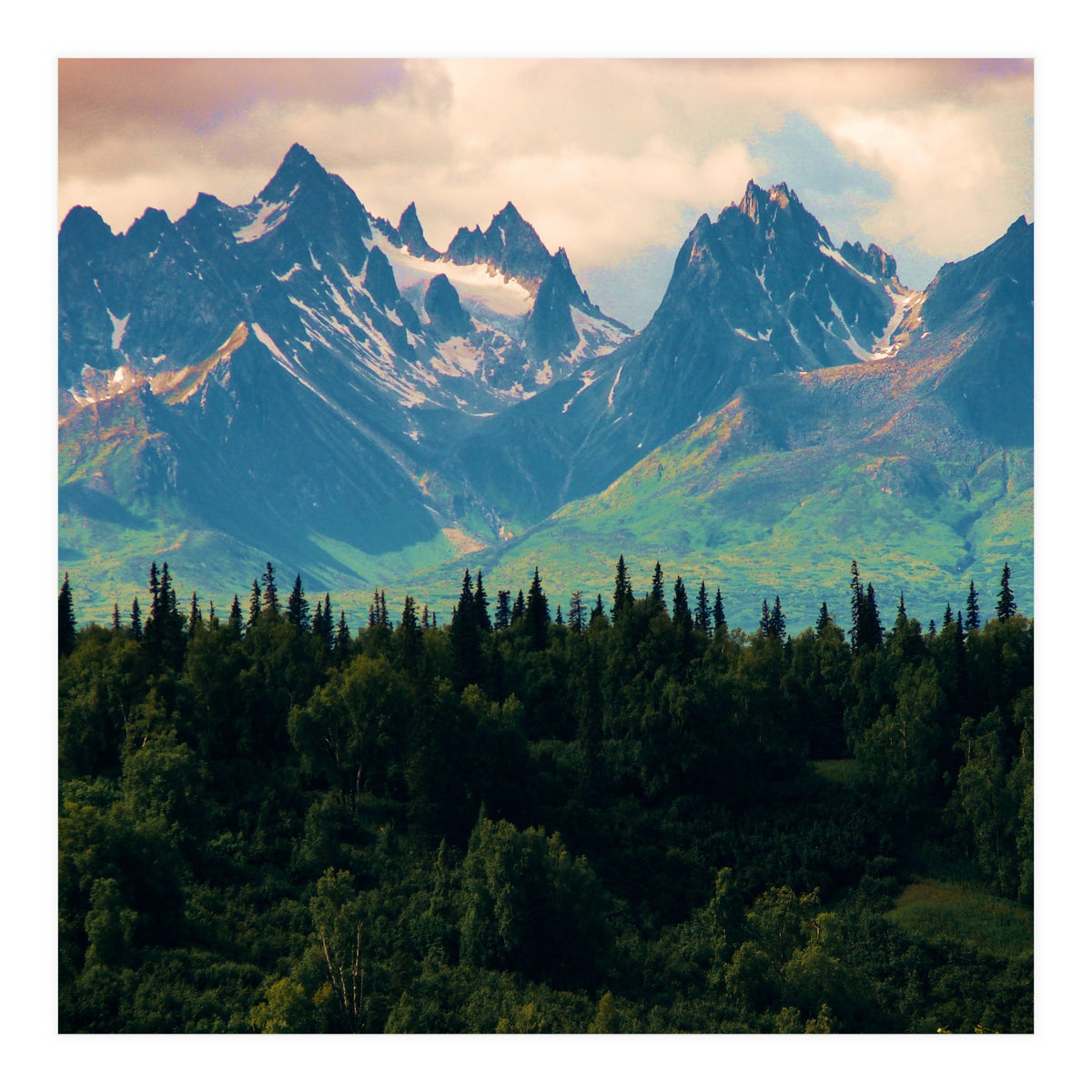 Escaping from woodland heights II (Print Only)